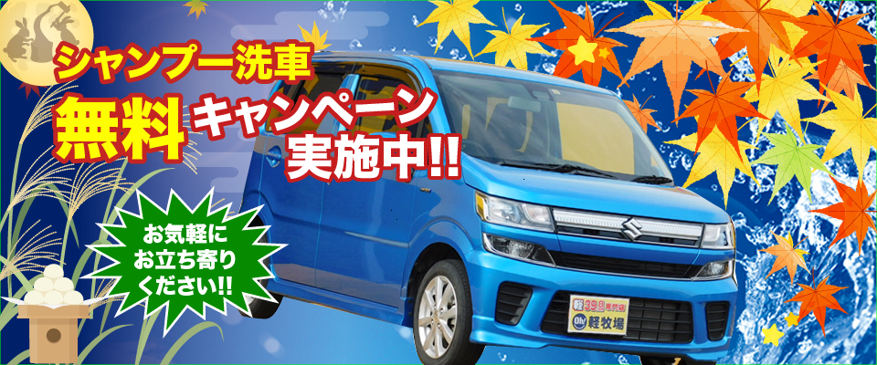 シャンプー洗車　無料キャンペーン実施中！！