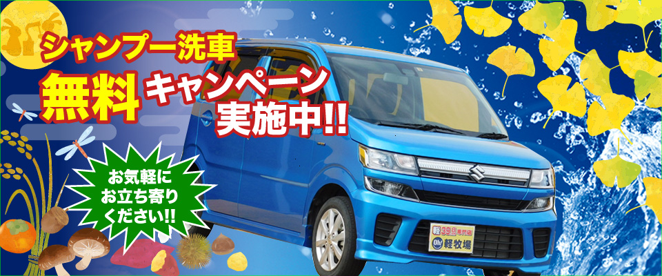 シャンプー洗車　無料キャンペーン実施中！！